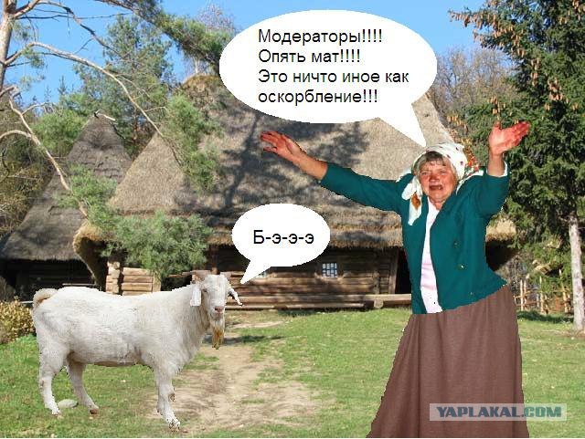 Анкета с сайта знакомств