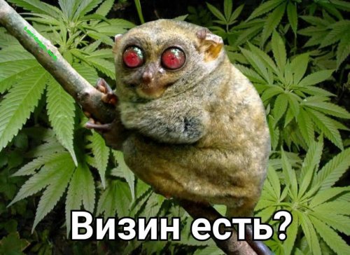 Прикольные и просто красивые картинки 02.09.20