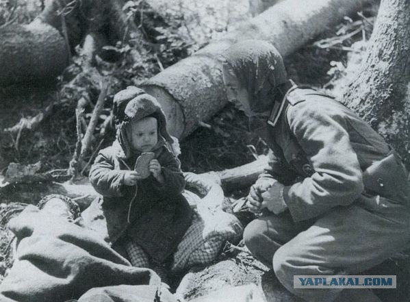 Пили бы баварское, говорите?