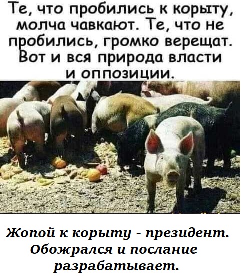 Выстраданное...
