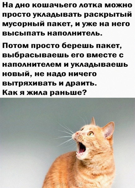 Картинки и мемы для настроения 01.06.2021