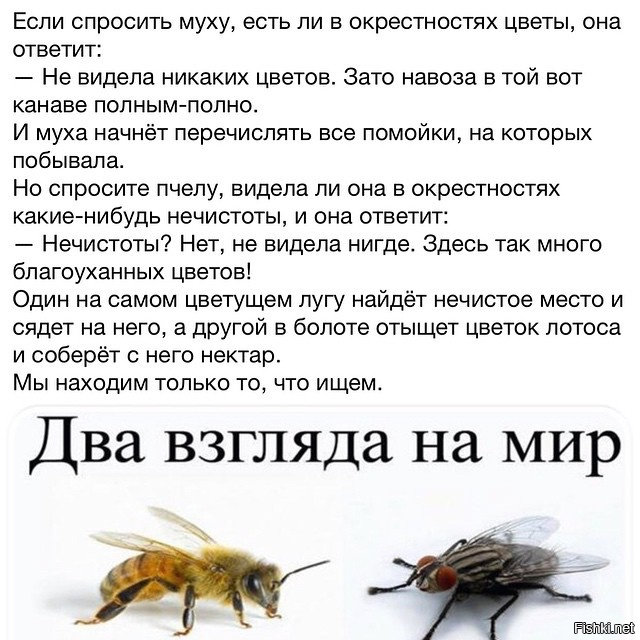 Пандемия. Коронавирус. Россия и мир. Последняя информация. Часть 23