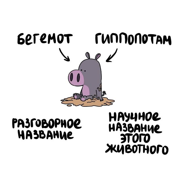 А может вы не знали...