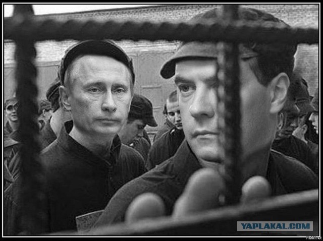 Хозяин тайги. Почему отдых Путина раздражает народ