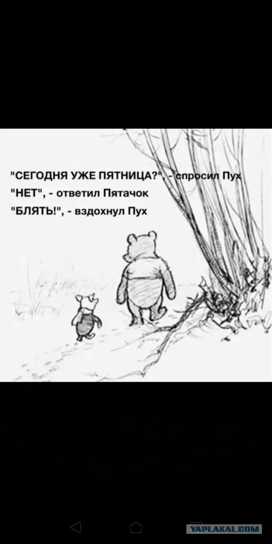 Баянисто-небаянистый юмор 7.02.22