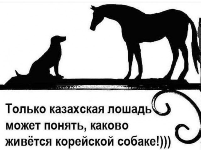 Так себе картинки 09.04.22