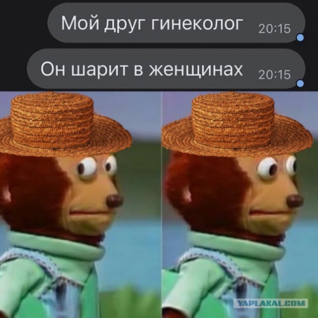 Весёлый полтишок 20.04.22