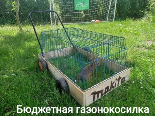Картинки и мемы для настроения - 27