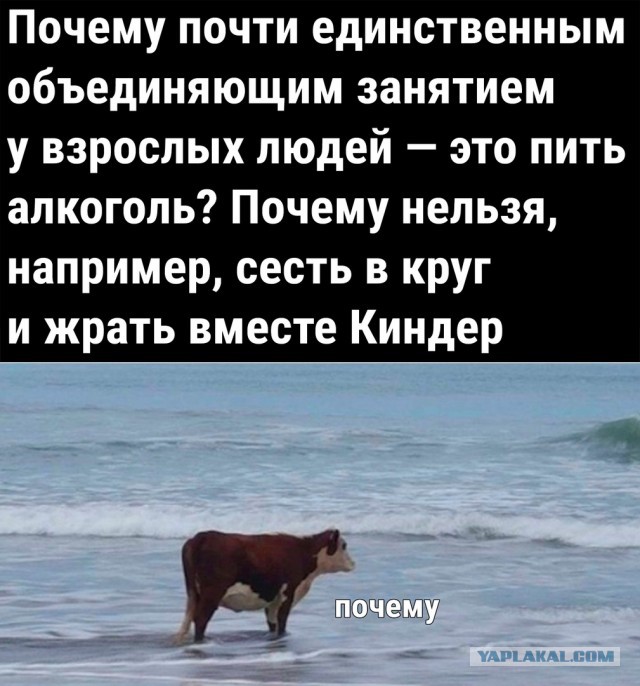 Так себе картинки 17.07.22