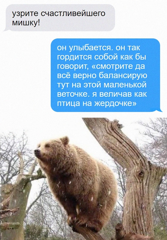 Картинки и мемы для настроения. Выходные рядышком...