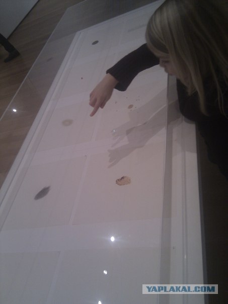 Моя первая поездка в Нью-Йорк и Маями