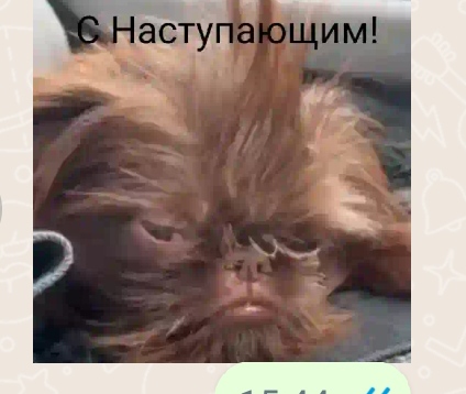 Победная поступь идиотизма по планете – том 5