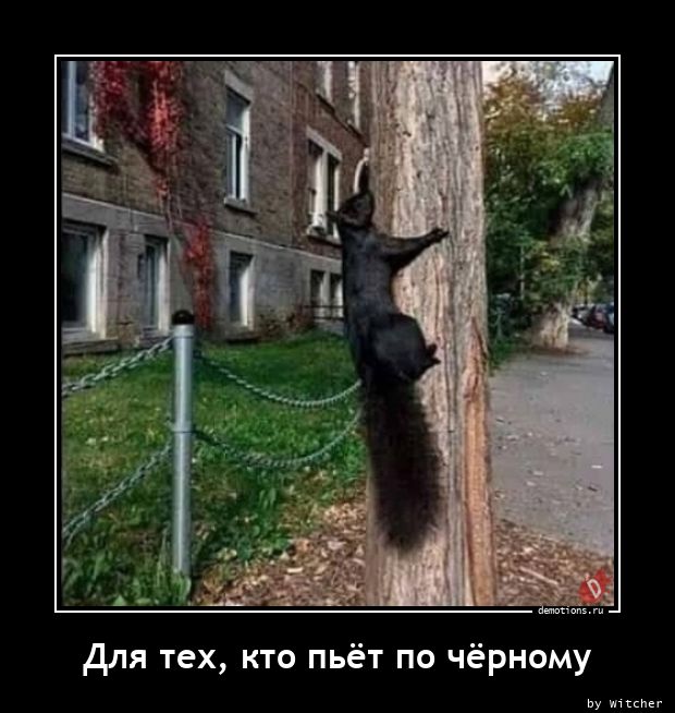 Cмешно
