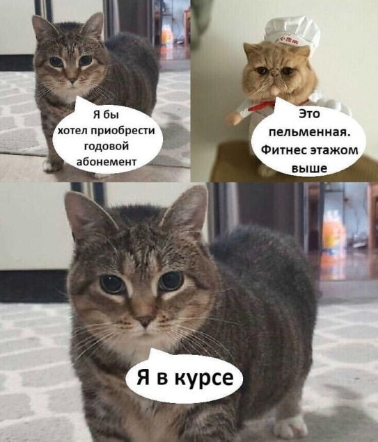Весёлый полтишок 16.07.23