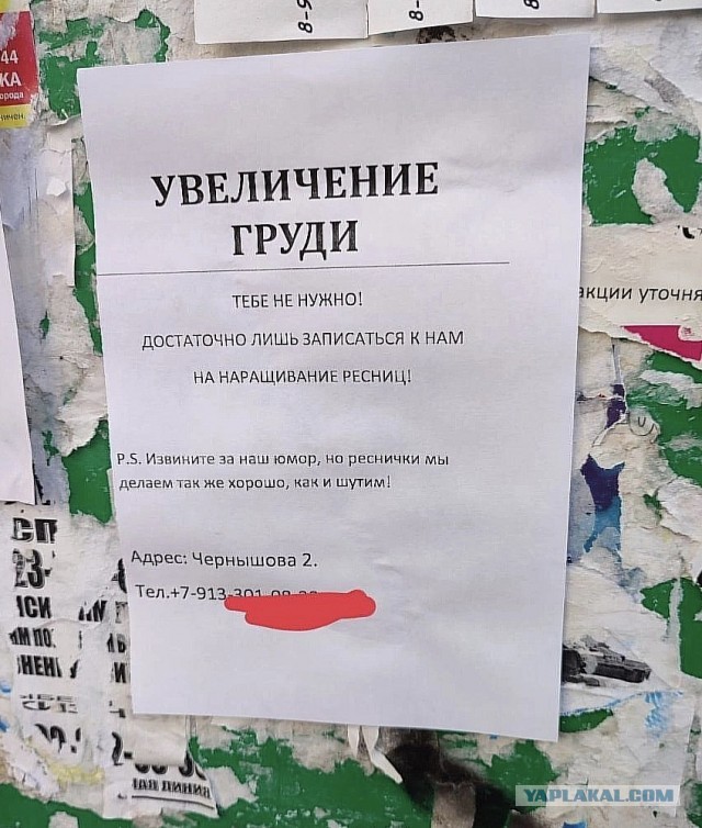 Так себе картинки 17.08.23