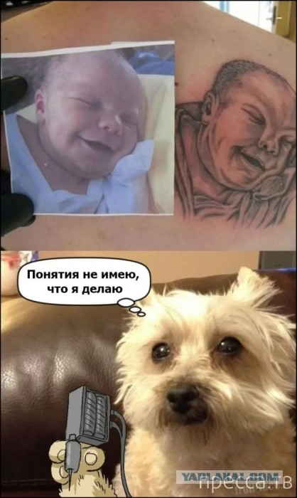 Очень древние баяны