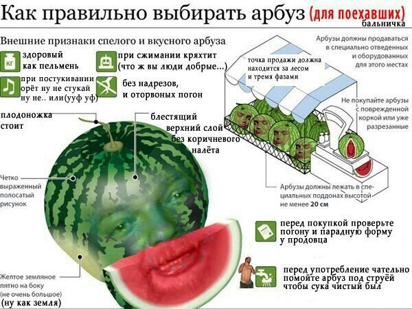 Картинки из Дристоля - 3
