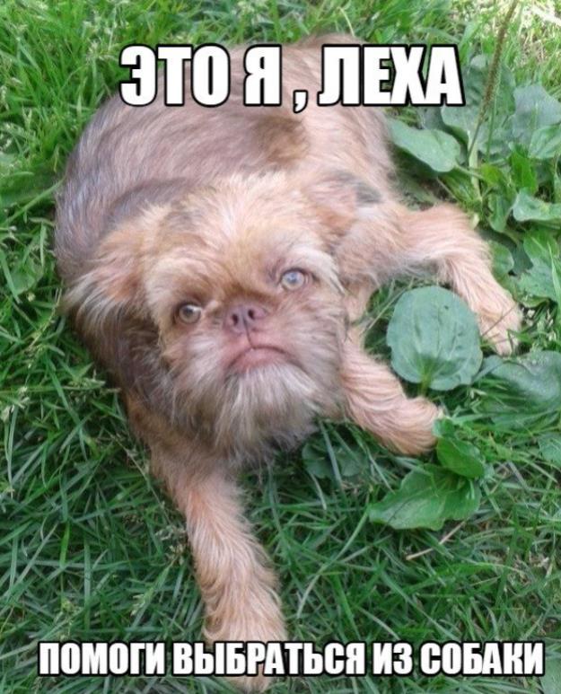 Нагулялиси мы.