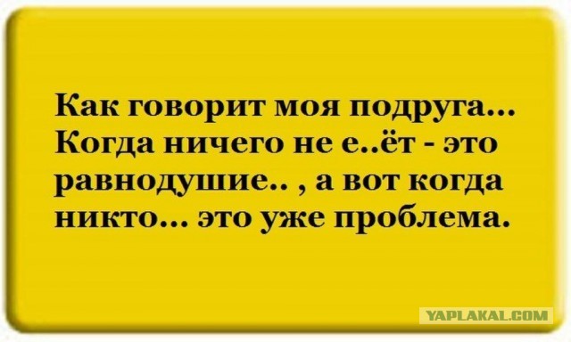 Прикольные и просто красивые картинки 02.02.2024