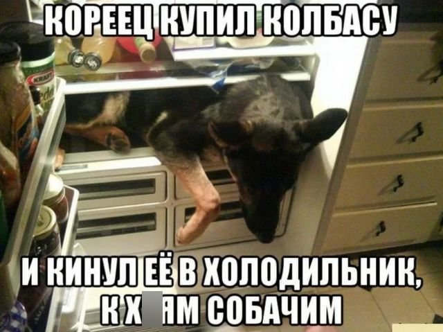 Весенний маразм наступает!