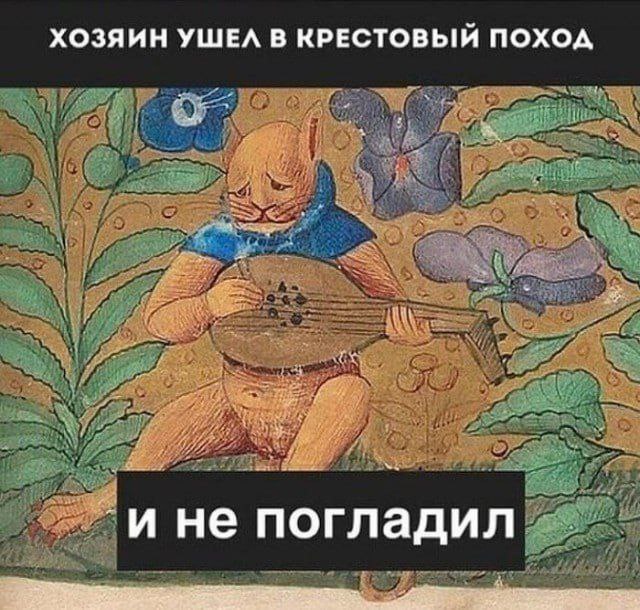 Так себе картинки 12.05.24