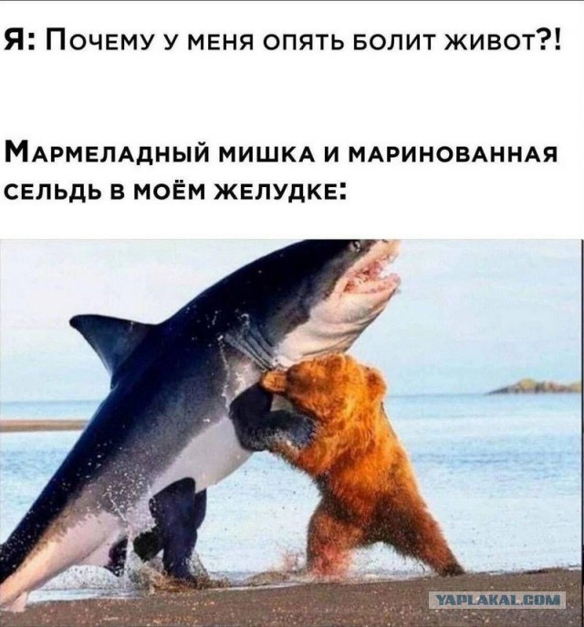 Завалялось тут случайно немного забавных картинок