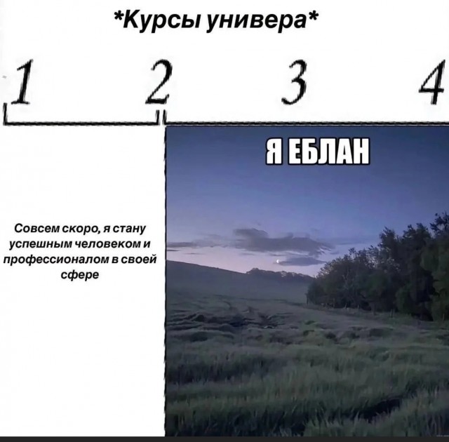 Кто украл мой пертуссин?