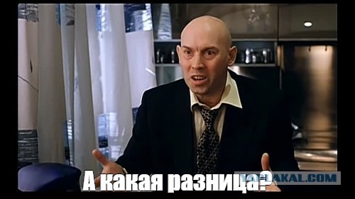 Первый день на работе алабая-пастуха
