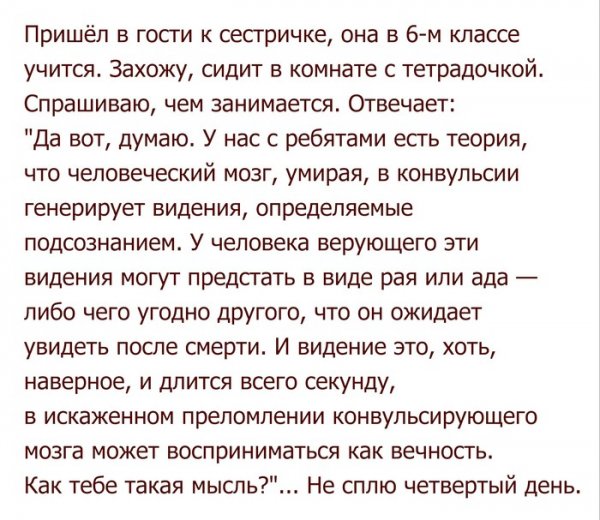 Фильм без зрителей: внутри умирающего мозга начинается показ, которого никто не видит