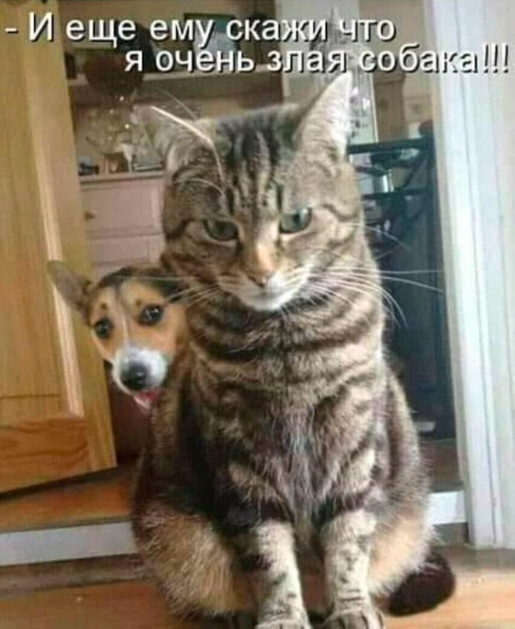Так себе картинки 10.06.25