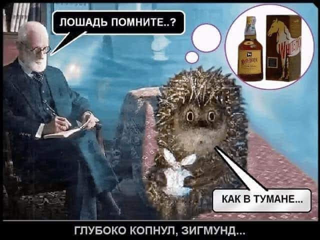 Так себе картинки 14.07.25