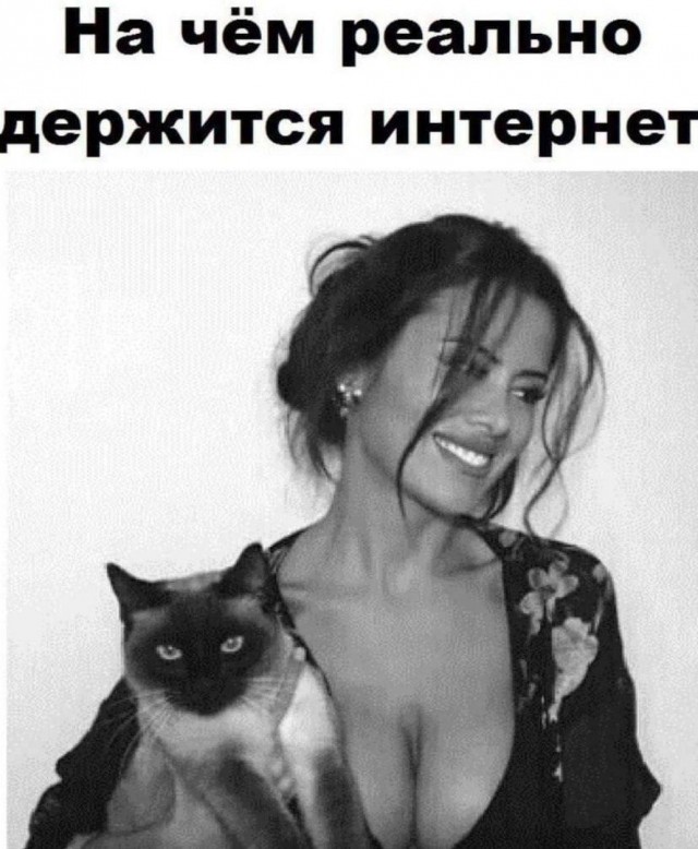 Картинки для деградации 25 (разной степени свежести)