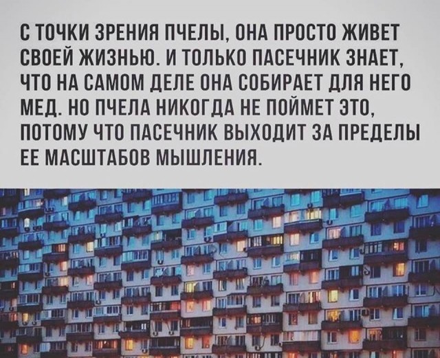Так себе картинки 26.09.25