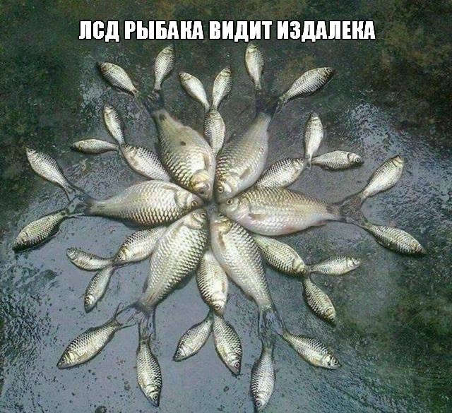 Сундук деграданта! Выпуск номер 9