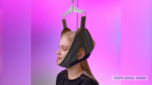 Спасение лебедя