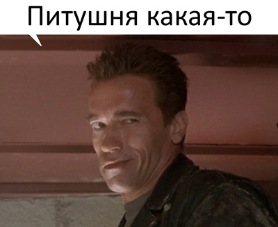 У питерских зумеров новая мода