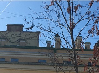 Здравствуй, Петербург!