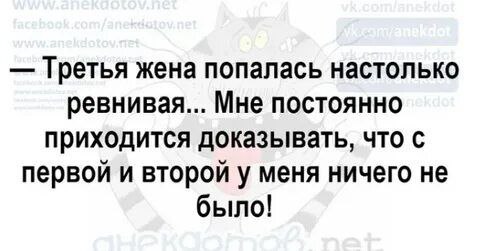 Так себе картинки 18.02.26