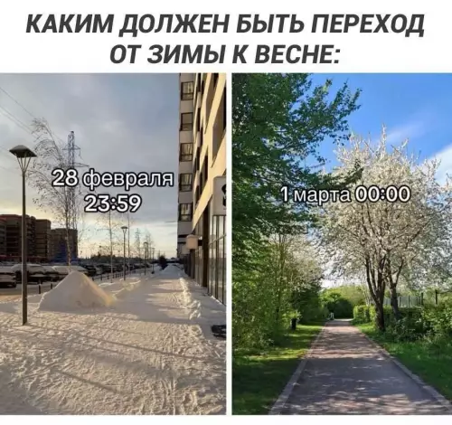 Картиночки, баянчики 8 марта