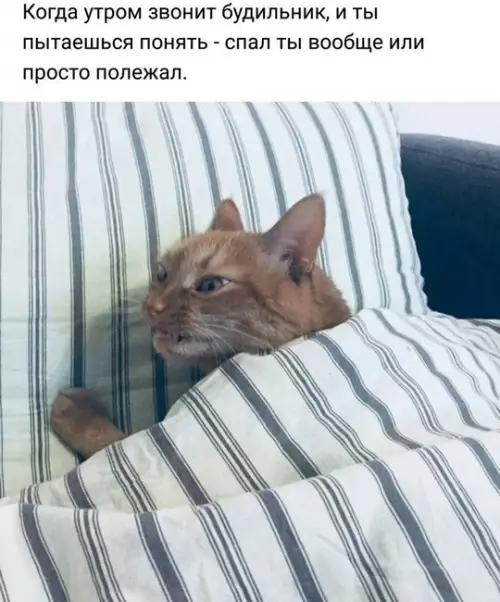 Картиночки, баянчики 13 марта