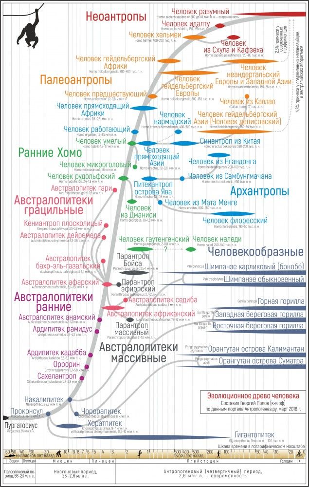 Про религию несколько мыслей