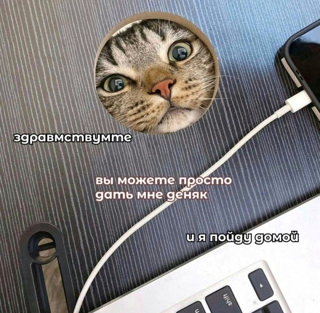 Котямбосы
