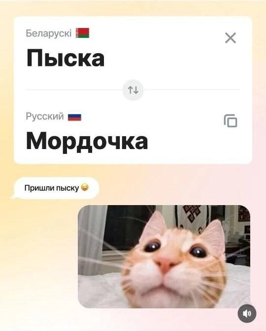 Веселые картинки в понедельник (26.10)