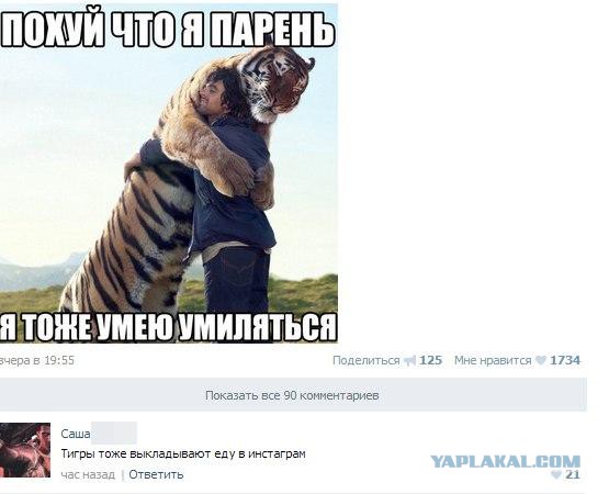 Смешные комментарии из социальных сетей #2