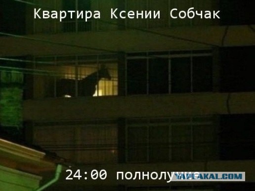 Без лифчика