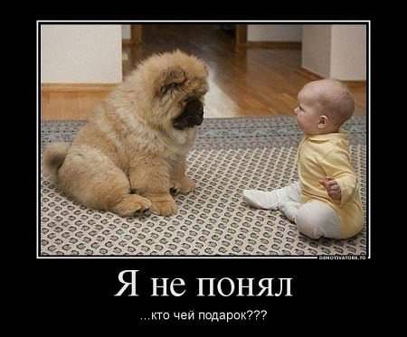 Веселые картинки? а так же комментарии)