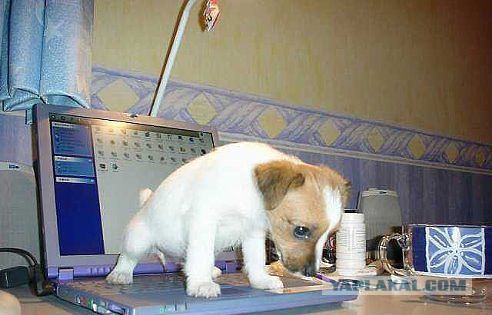 Позитивные картинки
