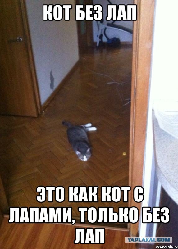 Жил был кот без лап ...