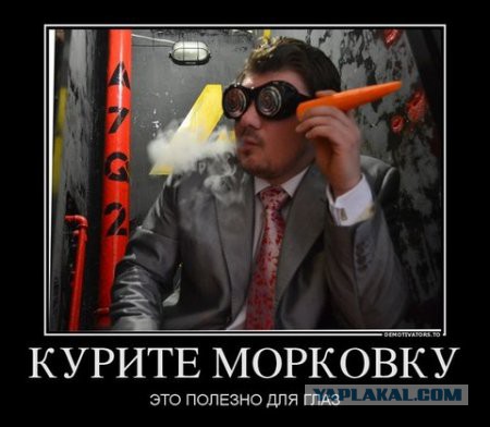 Немного смешных картинок из сети