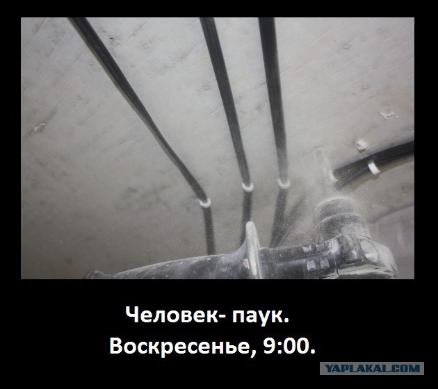 Немного позитива на пятницу